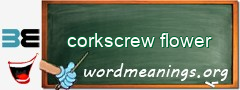 WordMeaning blackboard for corkscrew flower